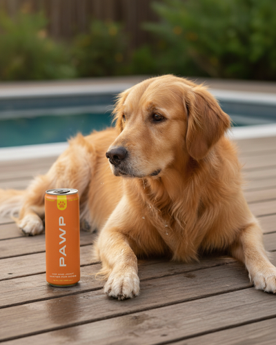 HIP & JOINT - Image 5