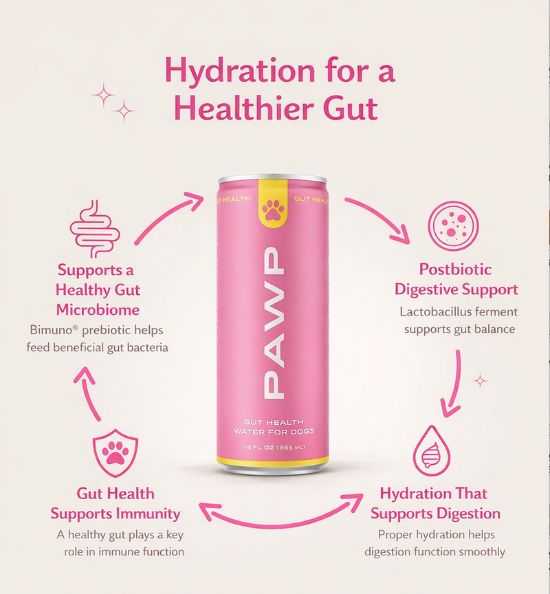 GUT HEALTH